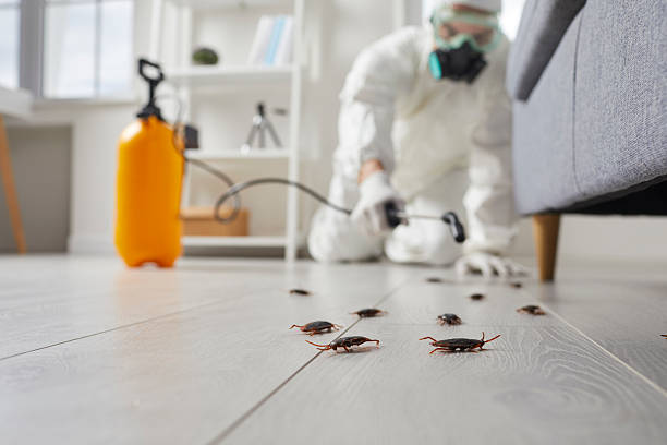 Commercial Kitchen Cockroach Control in Fort Washington