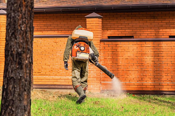 Cockroach Follow-Up and Monitoring in Fort Washington
